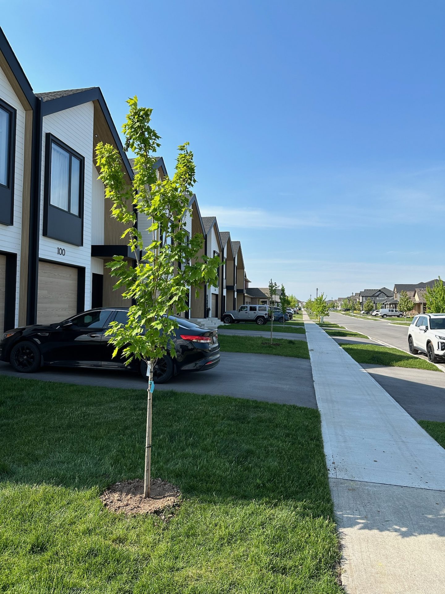 A suburban street with modern townhouses, cars parked in driveways, and young trees lining the sidewalk under a clear blue sky.