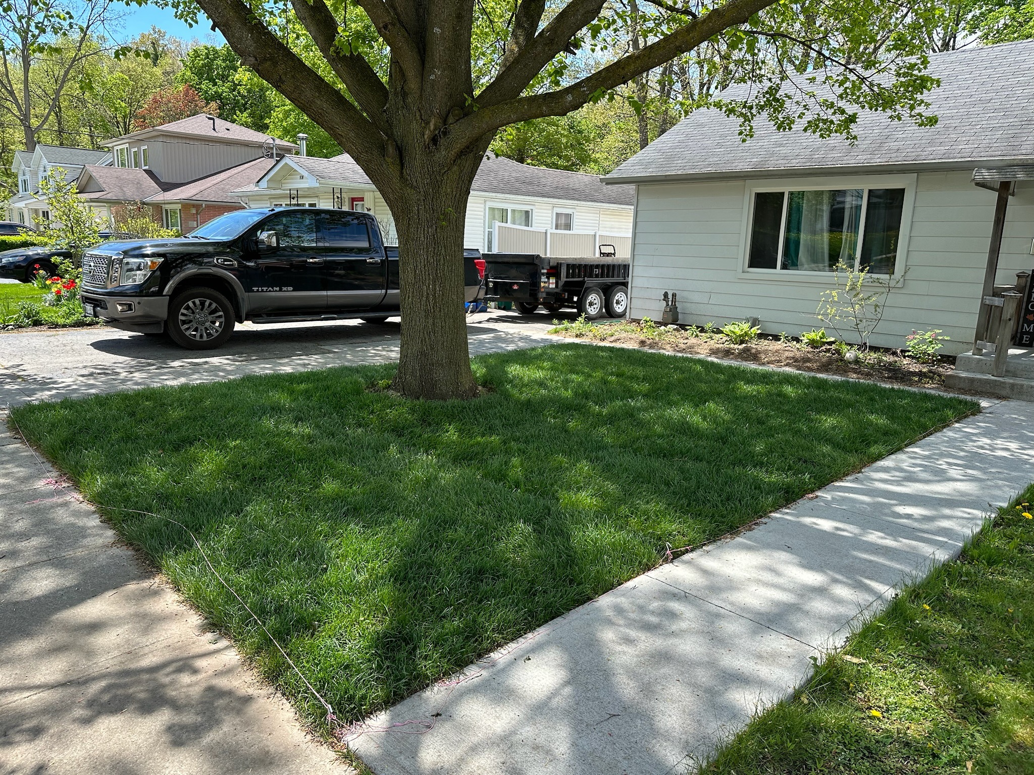 A black truck is parked beside a white house with a neatly maintained lawn and tree, surrounded by other residential buildings.