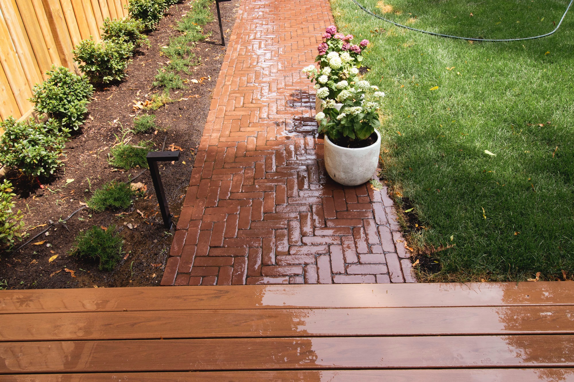 A wet brick pathway flanked by potted flowers and a fence borders a grassy lawn, creating a fresh garden scene.